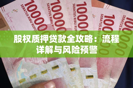 北京股权质押贷款全攻略：流程详解与风险预警
