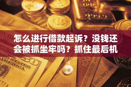 北京怎么进行借款起诉？没钱还会被抓坐牢吗？抓住最后机会！