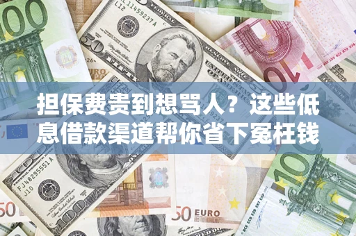 北京担保费贵到想骂人？这些低息借款渠道帮你省下冤枉钱