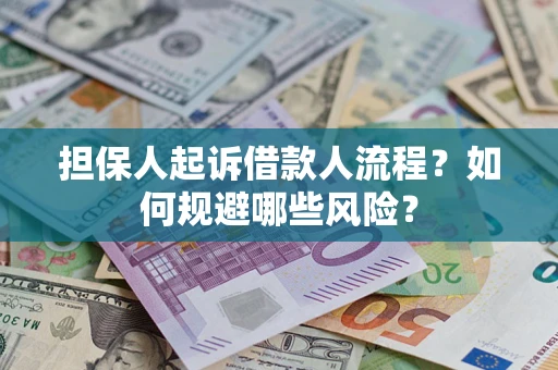 北京担保人起诉借款人流程？如何规避哪些风险？